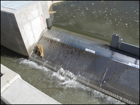 40 cfs agricultural screen